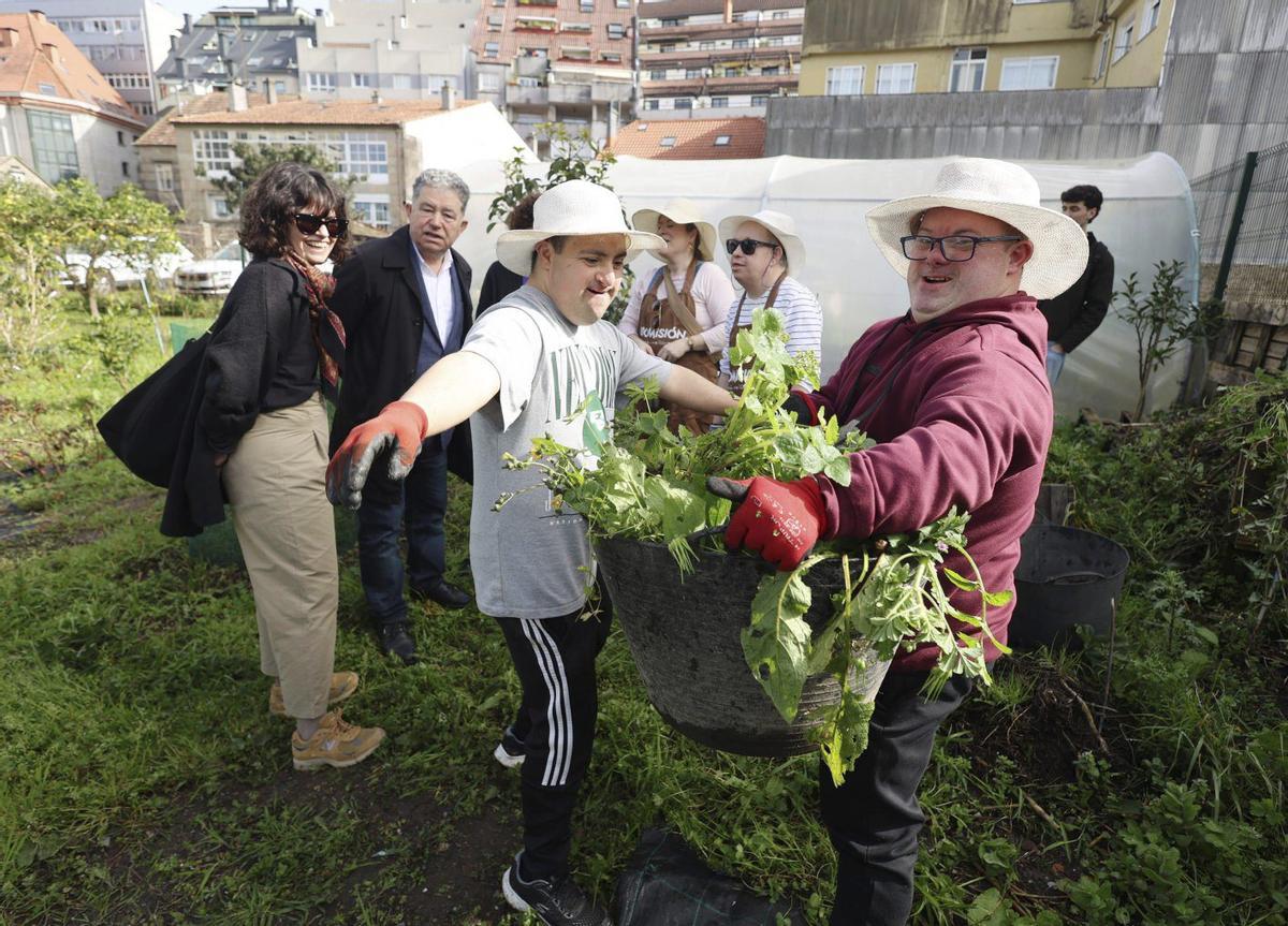 El cuidado y mantenimiento del huerto es una de las actividades al aire libre que realizan a diario.