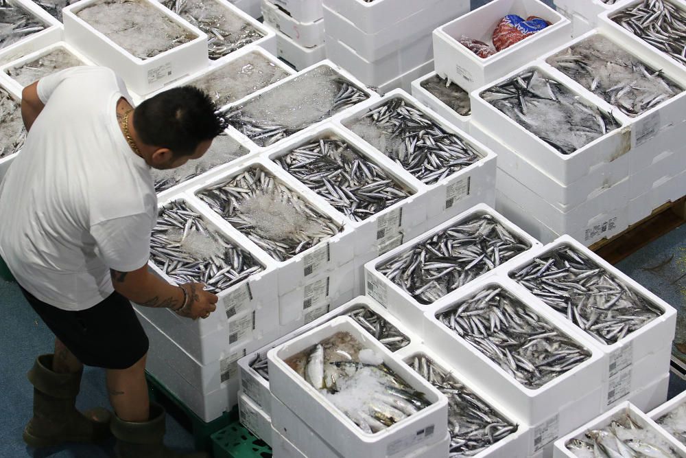 Así es un día de trabajo en la pescadería de Mercamálaga