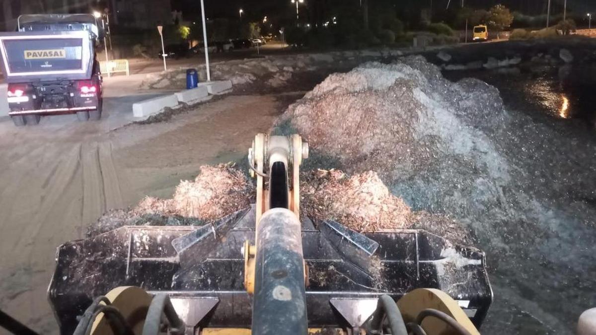Los arribazones ya amontonados y listos para retirarlos de la Marineta Cassiana