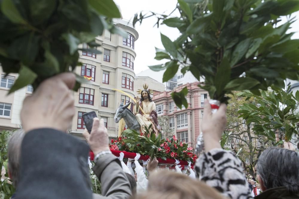 procesion borriquilla