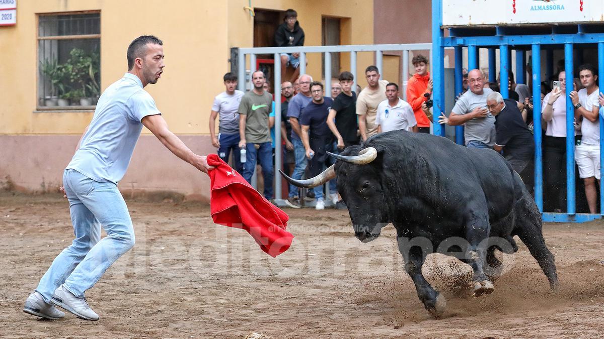 Bous a Almassora 2025