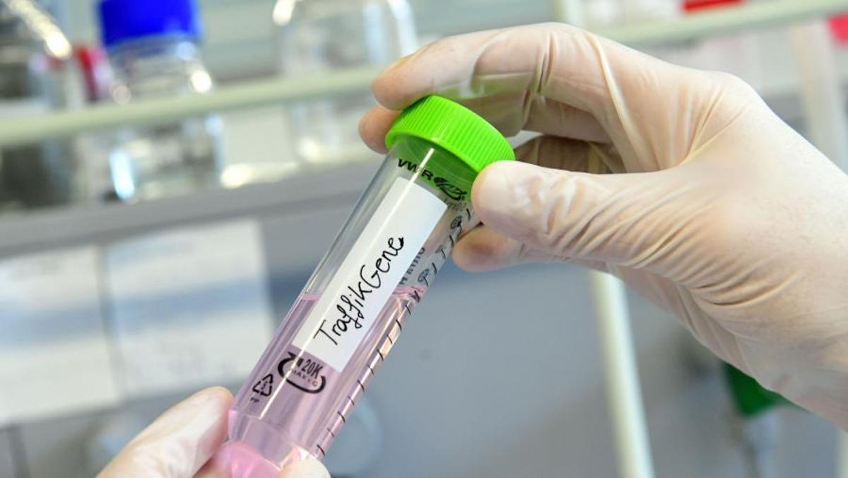 TraffikGene es un ejemplo de transferencia del conocimiento a la sociedad