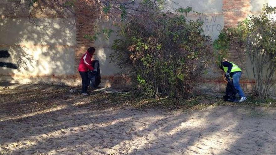 Varios voluntarios recogen basura por Toro.