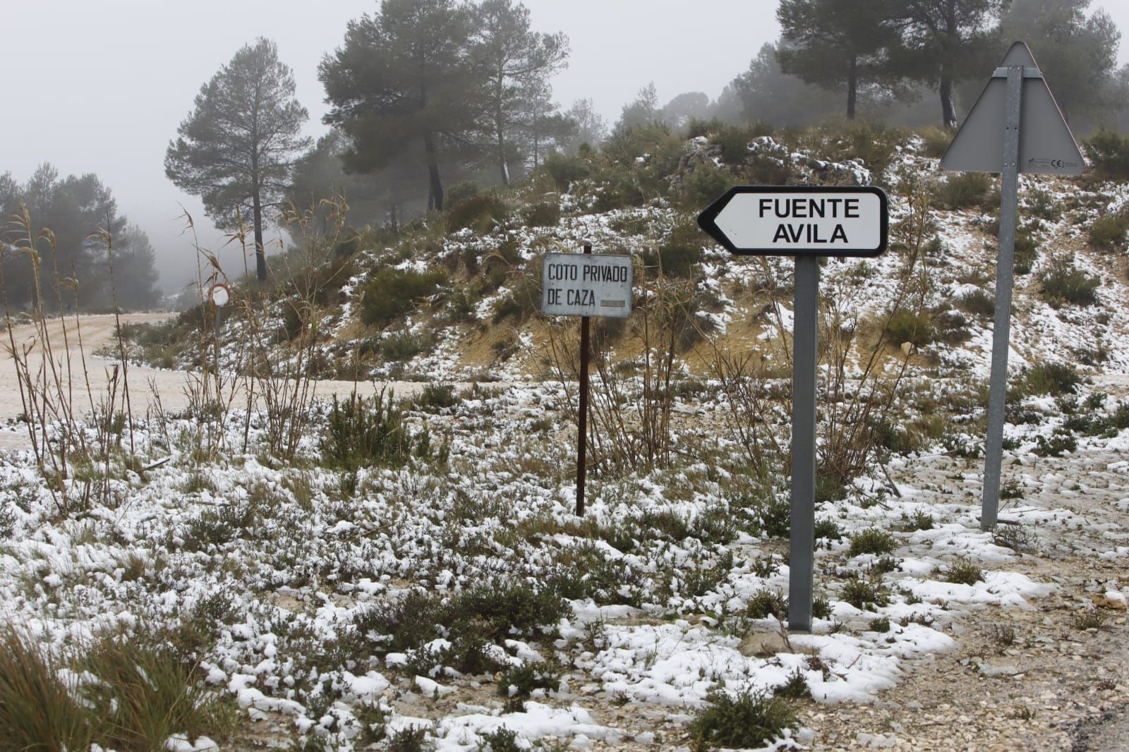 La nieve llega a Enguera