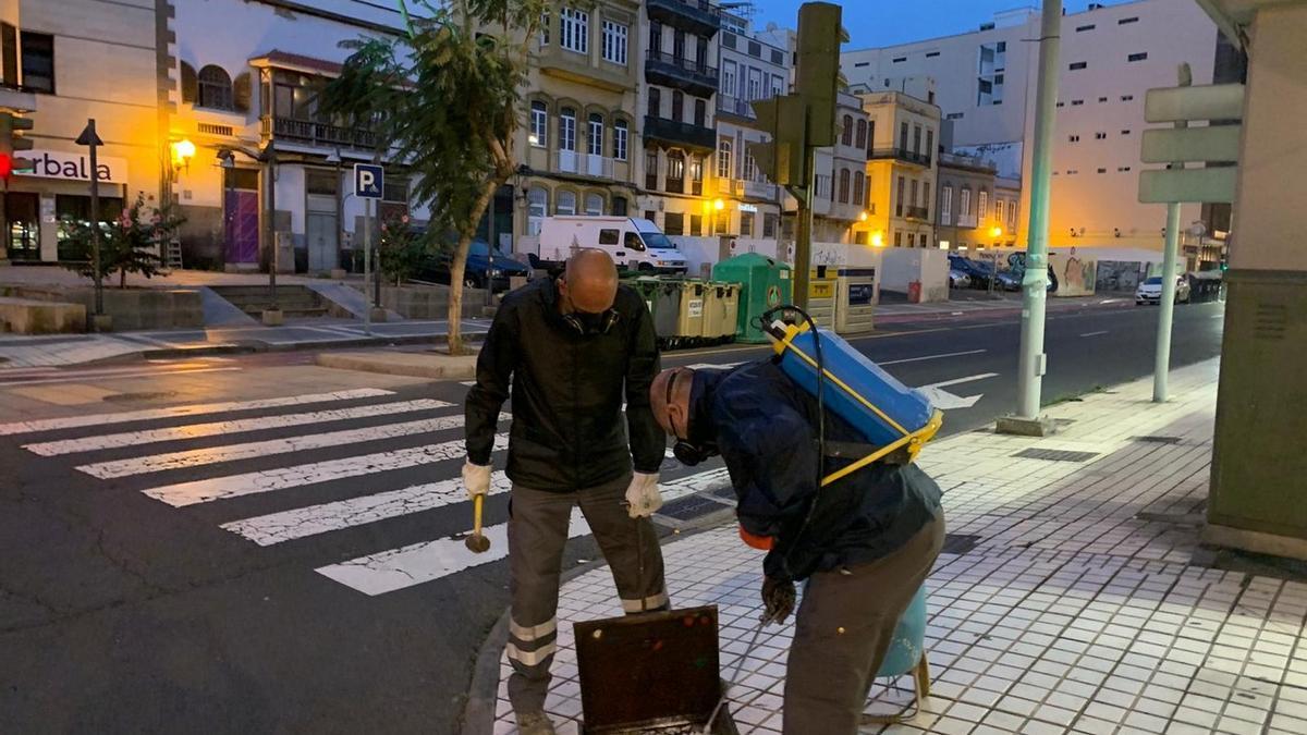 Imagen de las labores de control de plagas llevadas a cabo en diferentes puntos del municipio capitalino.