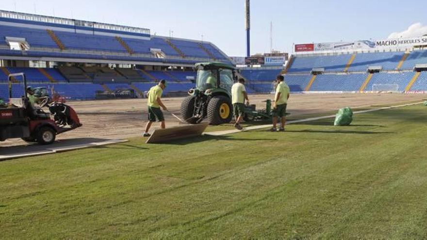 El estadio blanquiazul ya luce su nuevo césped