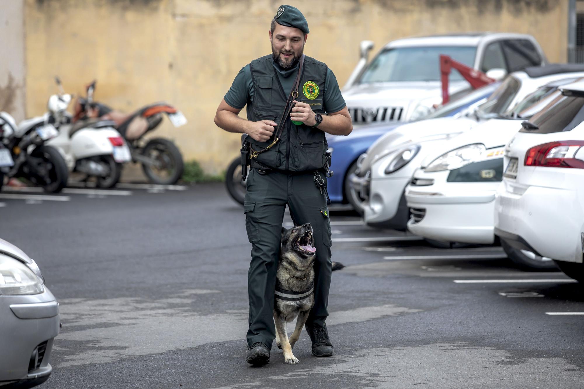 Unidad de Guías Caninos de la Guardia Civil