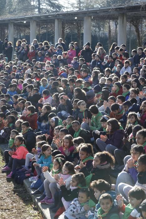 Dia Escolar de la No-Violència i la Pau.