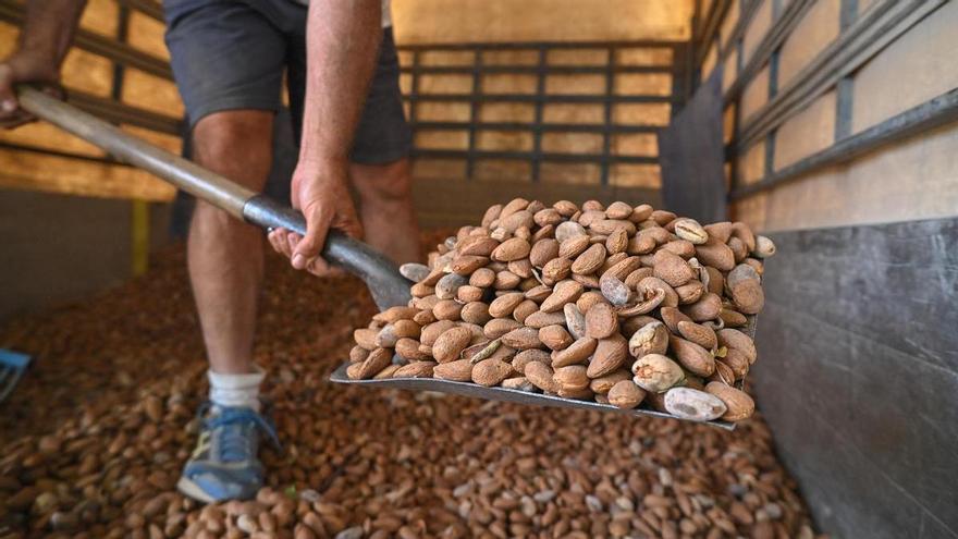 La atonía exportadora lleva a Alicante a su peor balanza comercial en siete años