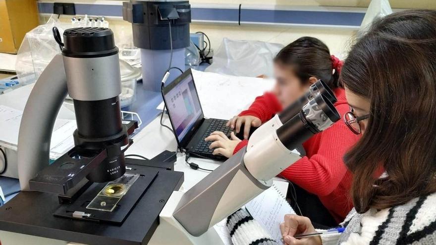 Estudiantes analizando los resultados durante su segunda jornada en el Centro Oceanográfico de Málaga.