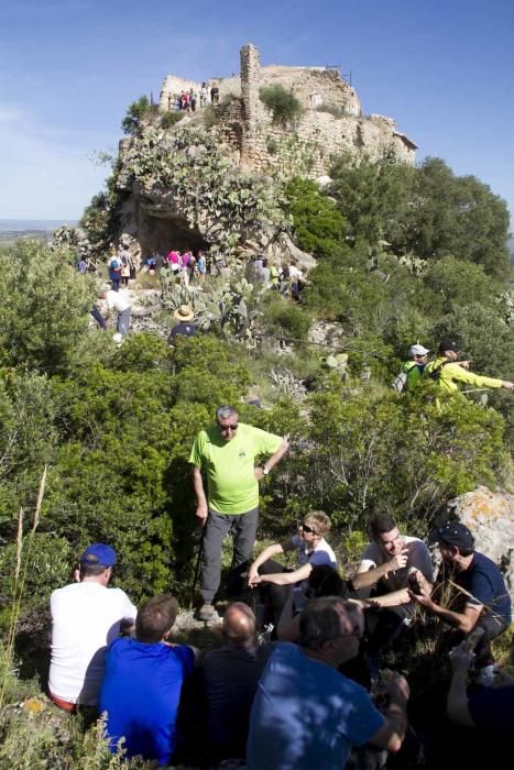 XXII Romeria a la ermita del Puig de Xàtiva