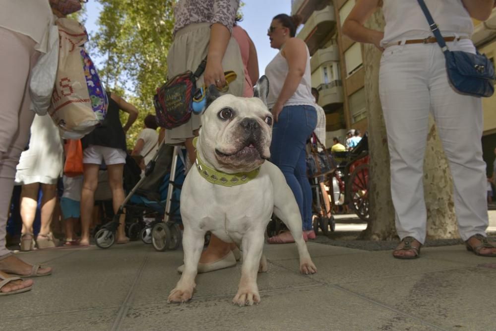 Día del caballo en la Feria de Murcia