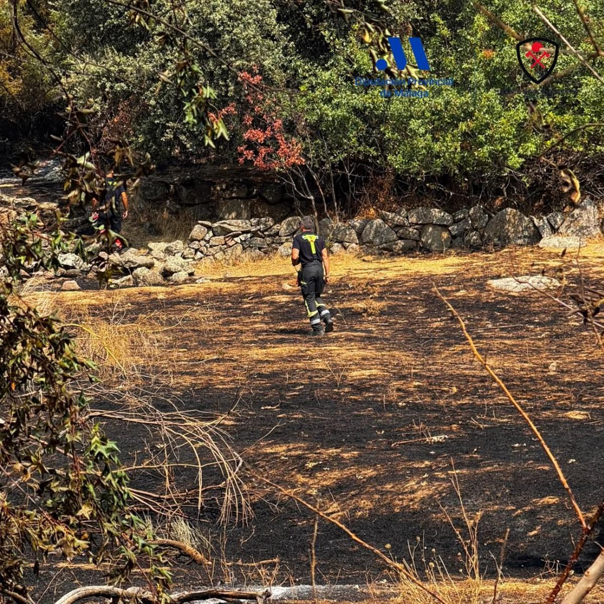 Un bombero malagueño, en una zona calcinada.