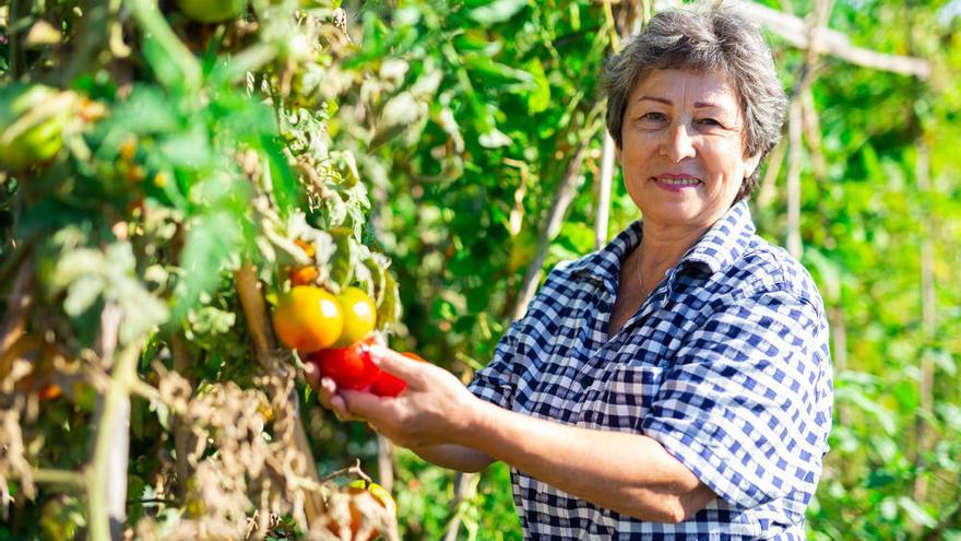 Las trabajadoras al aire libre están expuestas a más luz solar, lo que aumenta sus niveles de vitamina D.