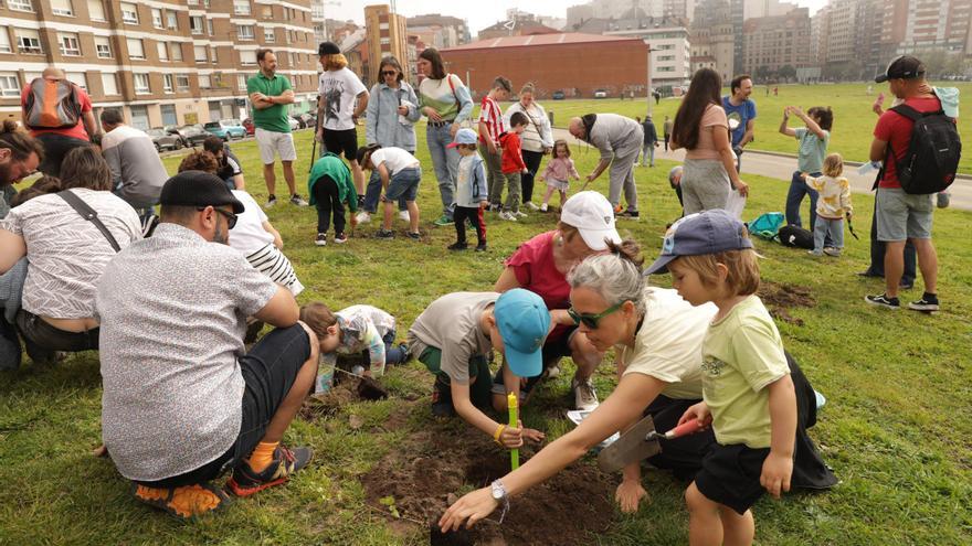 Así fue la plantación de árboles en el Solarón (en imágenes)