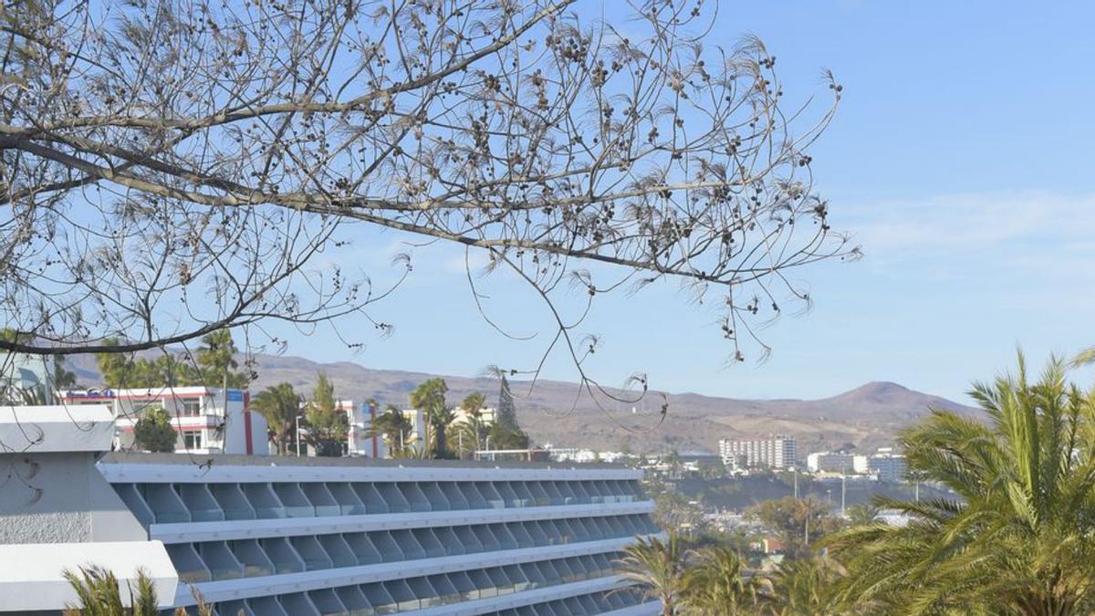 Hotel Santa Mónica, en Playa del Inglés, rehabilitado con un PMM. | | ANDRÉS CRUZ 