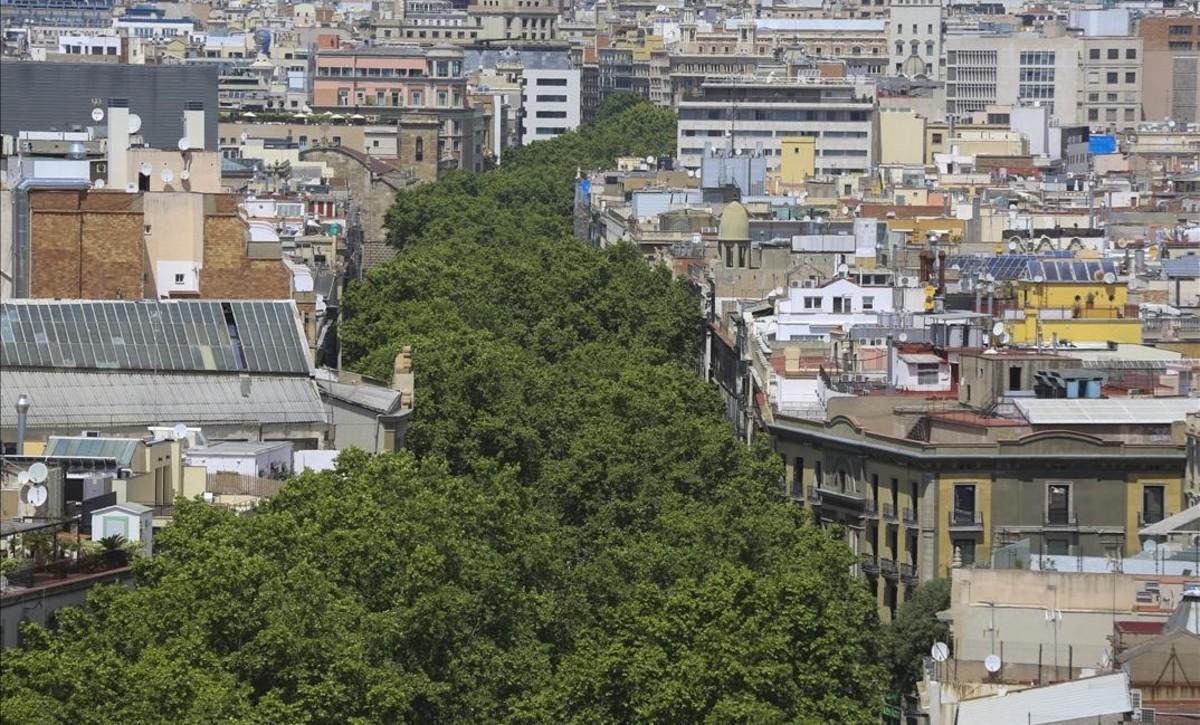 Panorámica de la Rambla de Barcelona con los plátanos en plenitud, el pasado viernes.