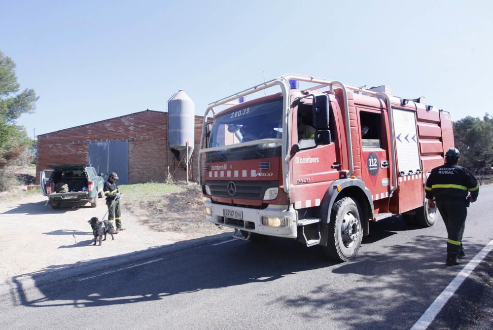 Piris, l'agent caní que detecta l'origen del foc