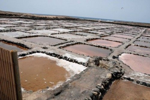 Reportaje en las Salinas de Tenefe en Pozo Izquierdo