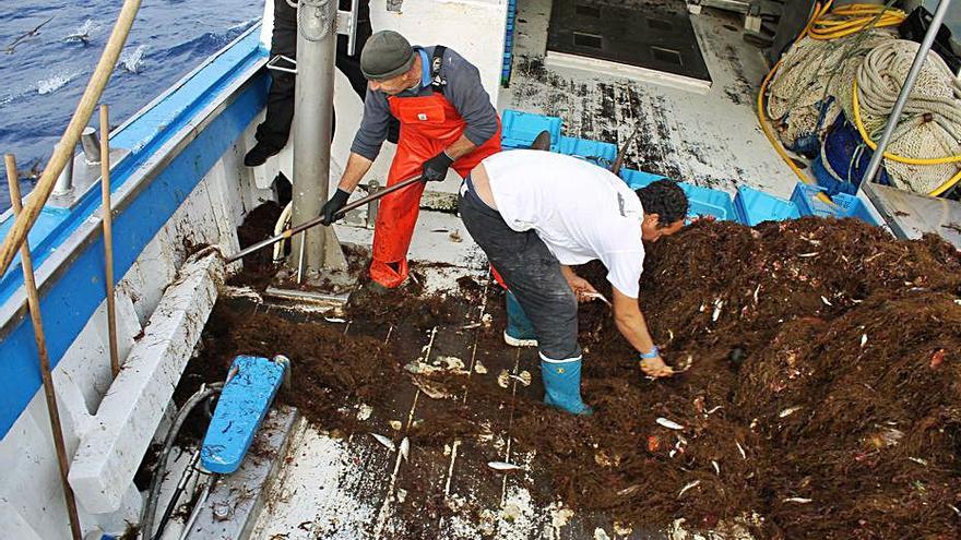 Uno tría, mientras el otro tira los restos por el imbornal. | J.,M.L.R.