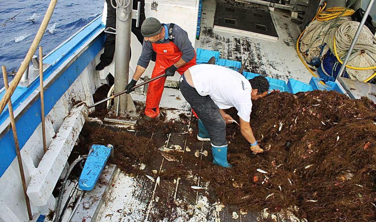 Uno tría, mientras el otro tira los restos por el imbornal. | J.,M.L.R.