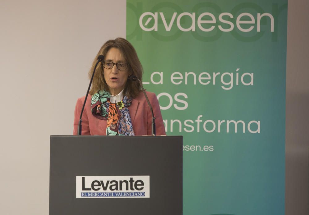 Congreso Avaesen sobre energías renovables en el club Diario Levante