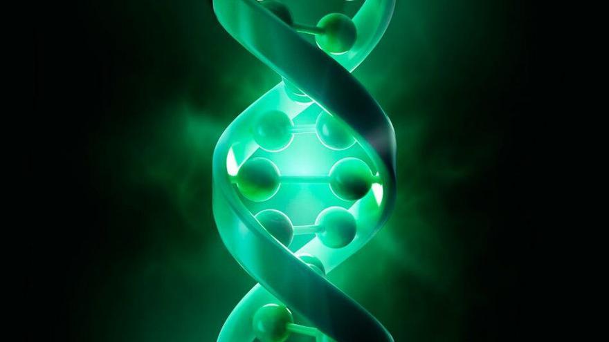 La selección natural se está acelerando: Harvard identifica 500 variantes genéticas que han cogido fuerza desde el neolítico