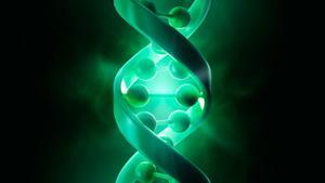 Un mètode innovador troba marcadors genètics en la depressió, l’esquizofrènia i el TDAH