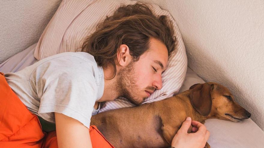 Dormir con tu perro o tu gato: ¿bueno o malo?