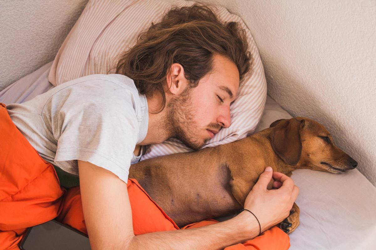 ¿Dormir con tu peludo es bueno o malo?