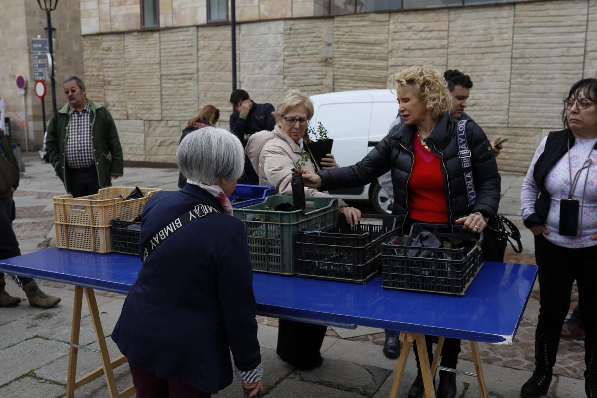 La Diputación de Zamora reparte plantas de manera gratuita en el Día Forestal Mundial