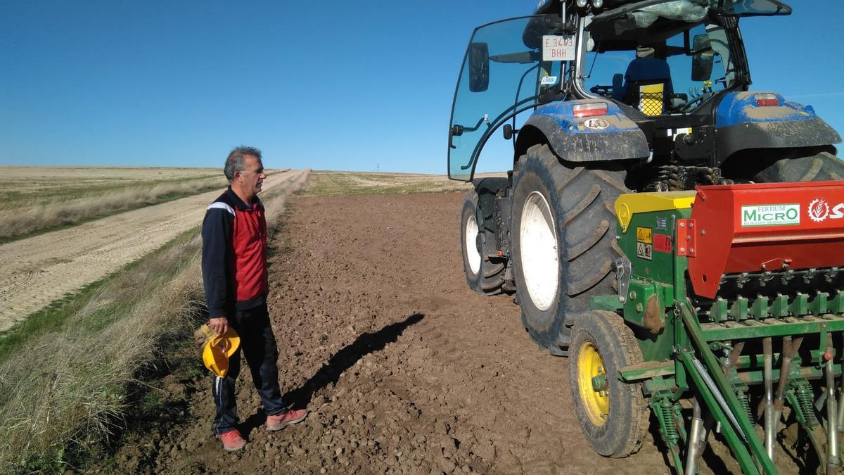 Trabajos de siembra en una parcela