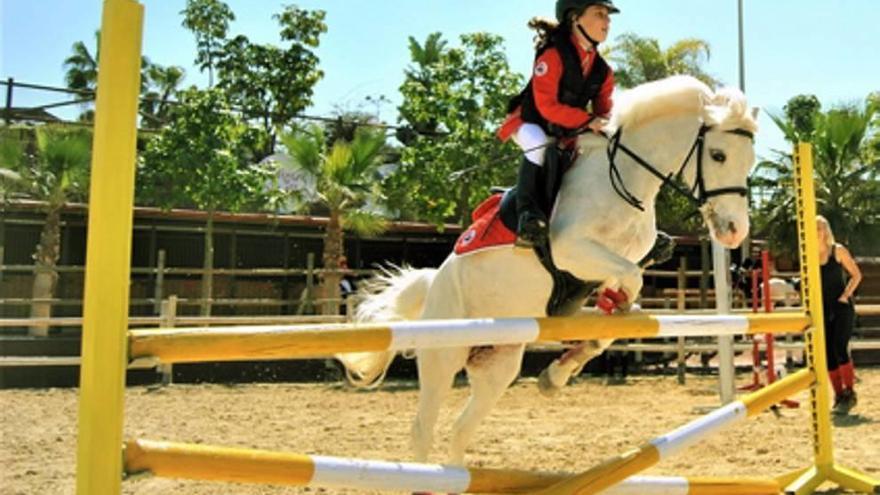 El Poni Club Terra Natura brilla en el Premio de España