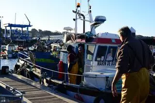 El cerco gallego ultima la auditoría para lograr el sello sostenible para su sardina