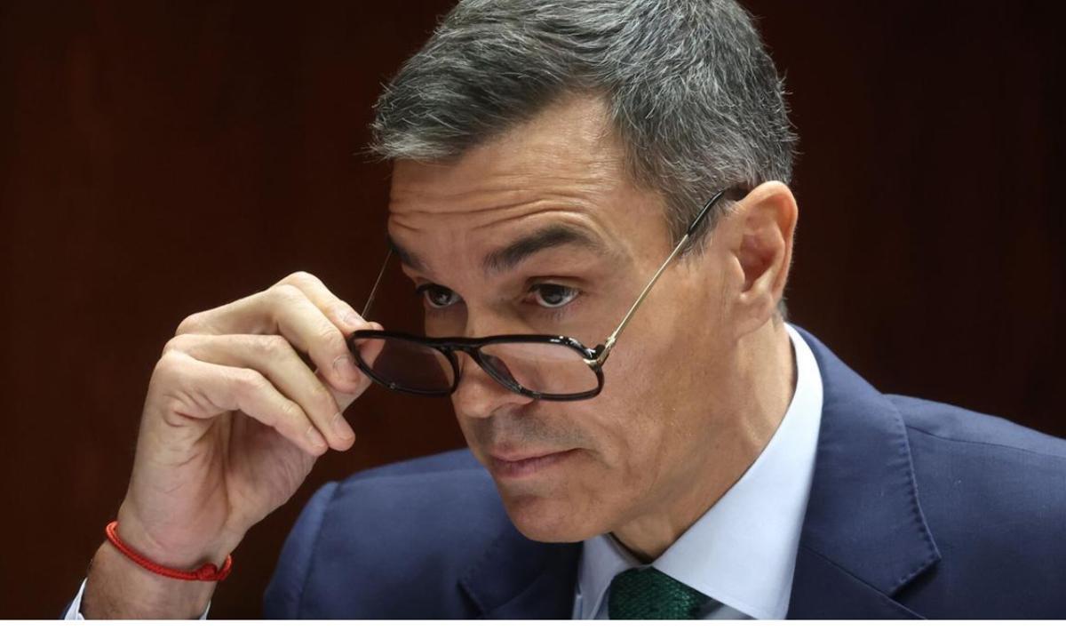 El presidente del Gobierno, Pedro Sánchez, se quita las gafas en la comisión de investigación del caso Koldo en el Senado. El presidente del Gobierno, Pedro Sánchez, se quita las gafas en la comisión de investigación del caso Koldo en el Senado.