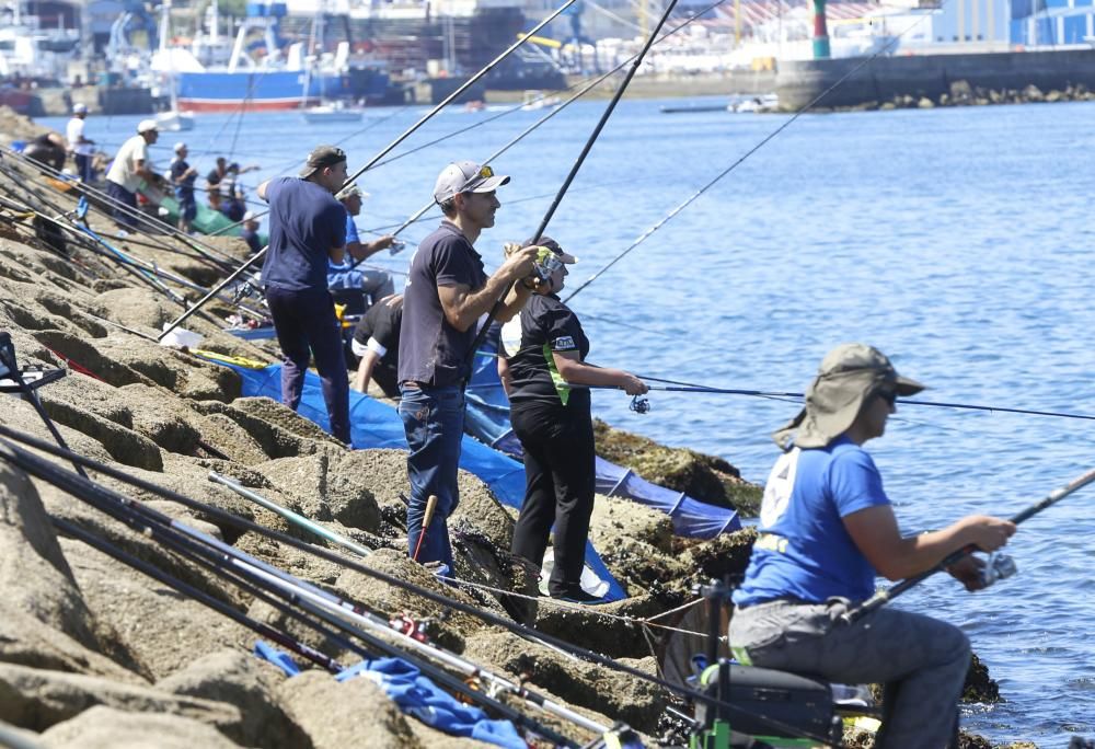 Los pescadores de caña baten récords de capturas en Vigo