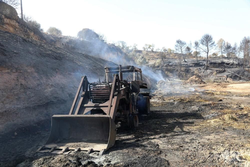 Sigue descontrolado el incendio de Tarragona ...