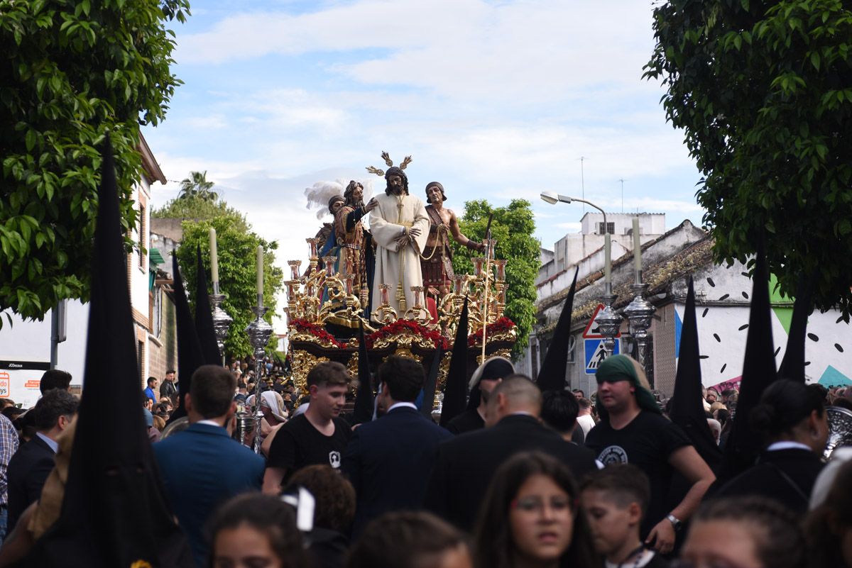 La hermandad del Amor, en imágenes