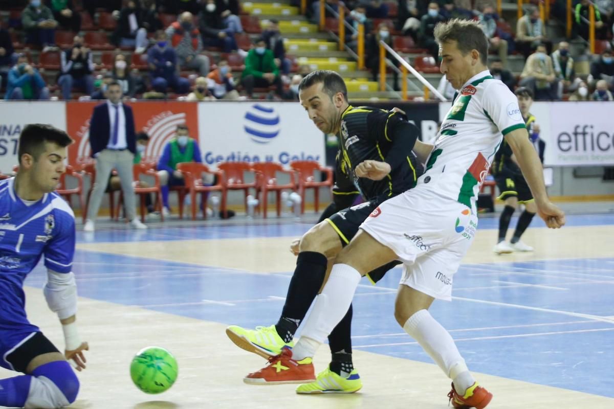 En imágenes el Córdoba Futsal Ferrol