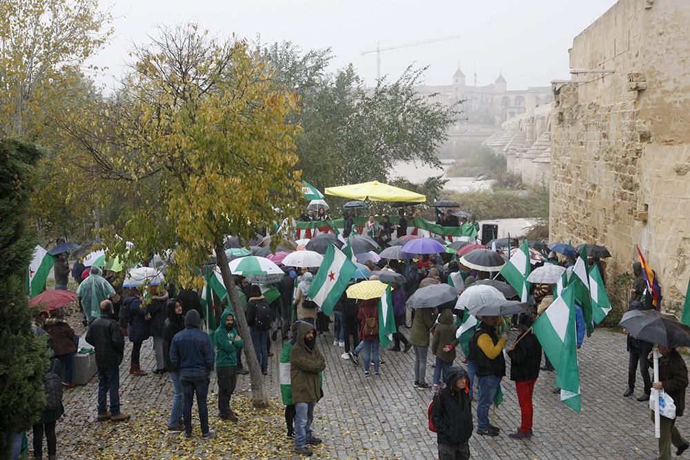 Unas 2.000 personas marchan en Córdoba para que "Andalucía despierte"