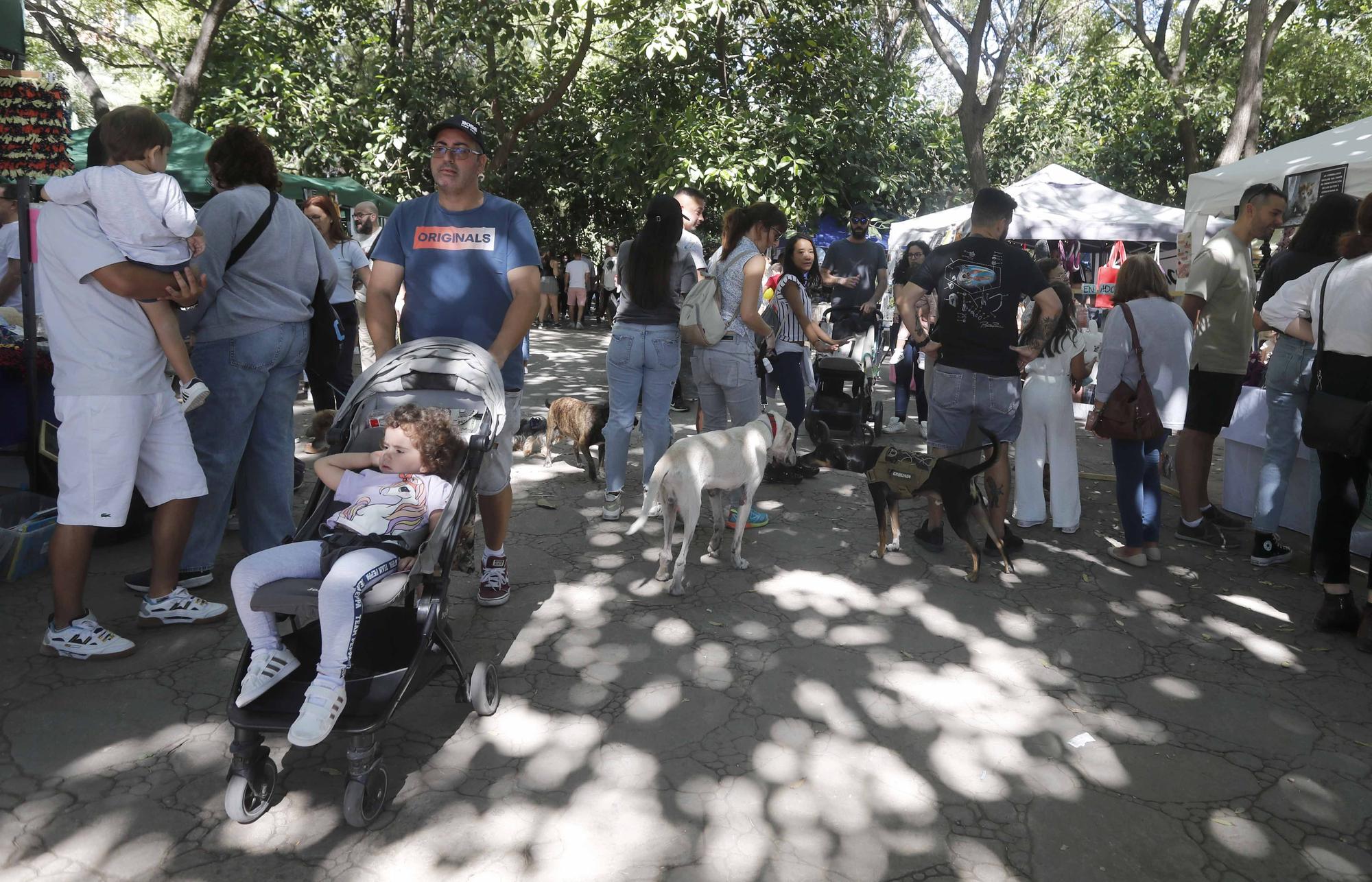 La Feria Animalista de València, en imágenes