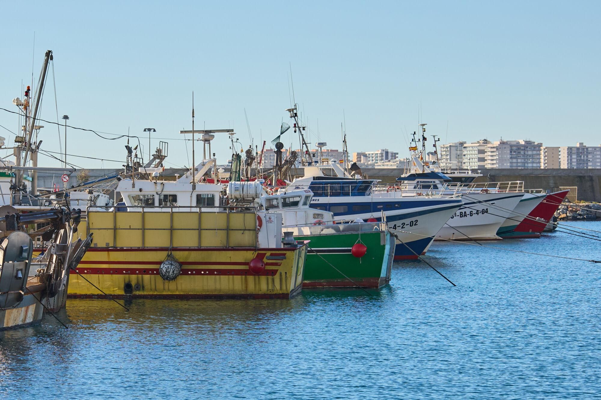 L'aturada de pescadors de Blanes, en imatges