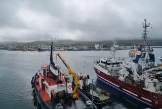 Los científicos permiten pescar en Gran Sol más cigala, cuya venta acapara A Coruña