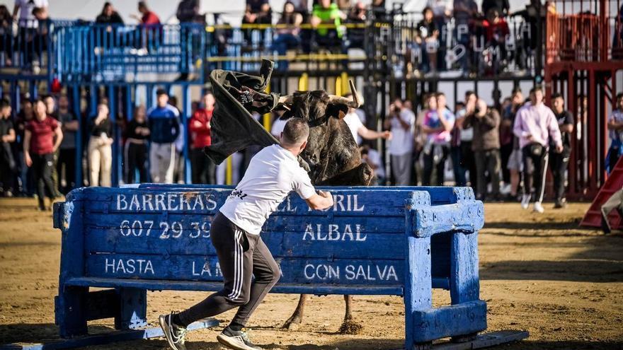 Fernando Machancoses gana el concurso de ganaderías de la Pascua Taurina de Onda