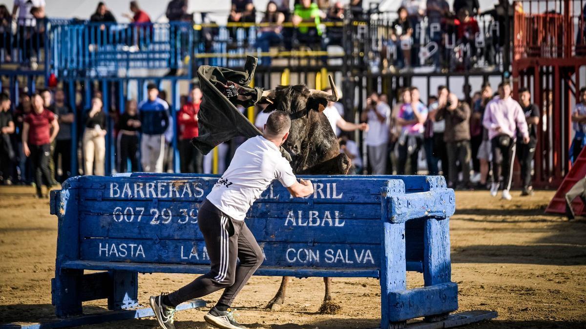 Las reses de Fernando Machancoses rayaron a gran nivel el pasado jueves, 4 de abril.