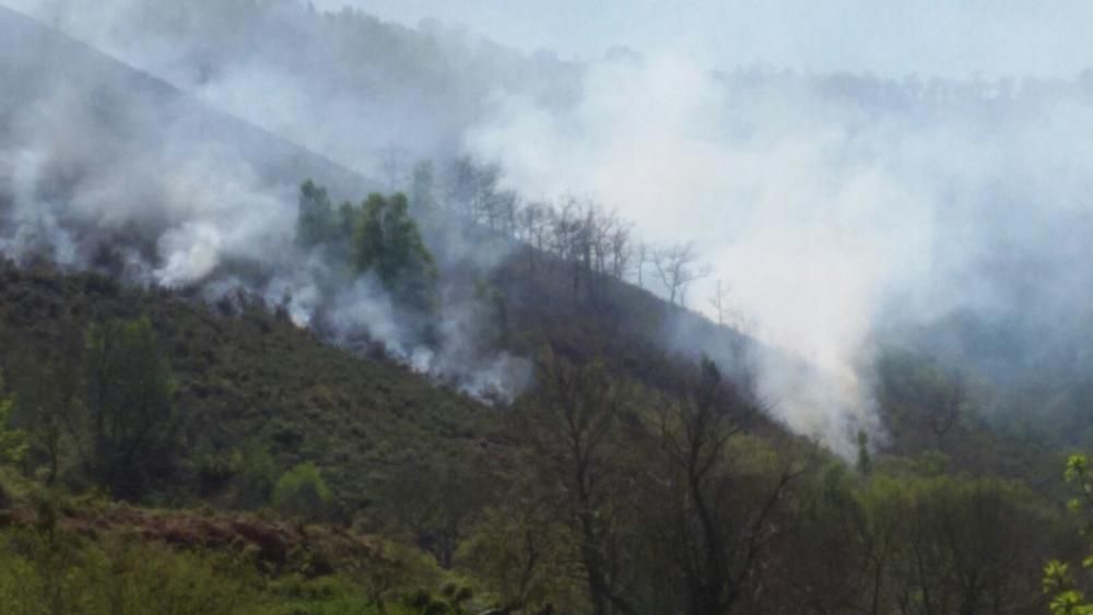 Incendio en el Monasterio del Coto, Cangas del Narcea