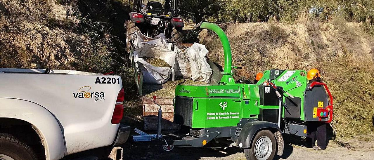 Un operario de Vaersa, trabajando en la retirada de restos vegetales en el monte.