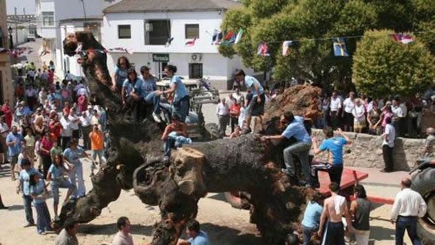Galería | Así es Aldea del Cano, un pueblo de Cáceres