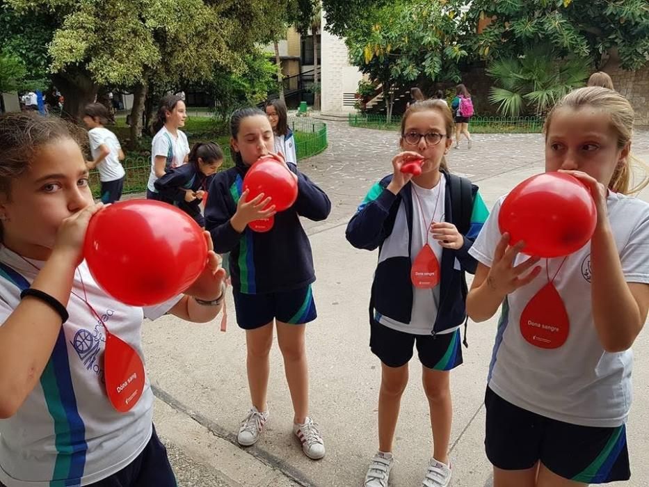 Campaña pro donación de sangre en el colegio Pureza de María-Cid de València.