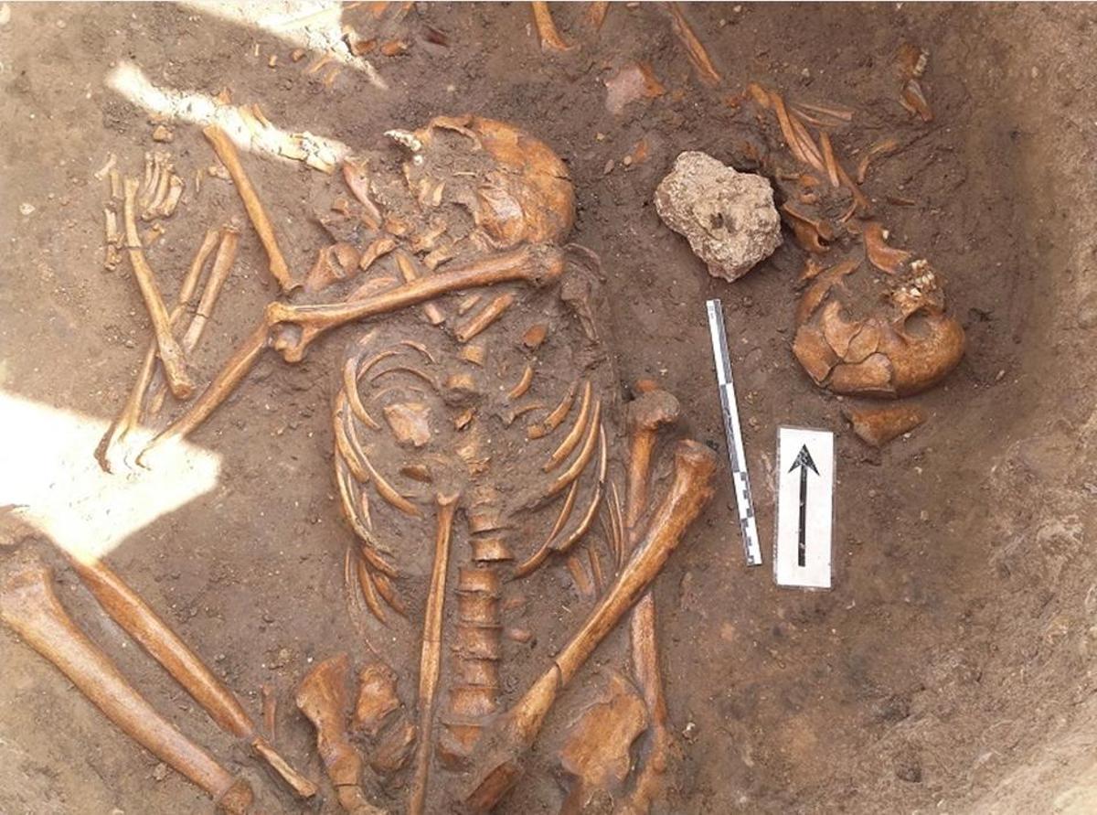 Restos humanos hallados en 2016.